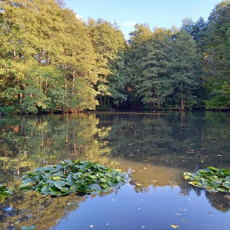 Ferienwohnung Am Waldsee Mit Schwimmbad ゲルンスバッハ エクステリア 写真