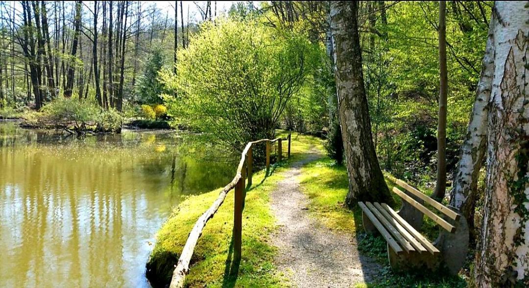 Ferienwohnung Am Waldsee Mit Schwimmbad ゲルンスバッハ エクステリア 写真