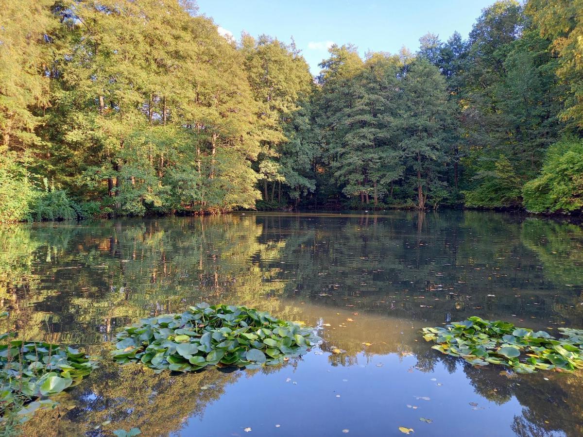 Ferienwohnung Am Waldsee Mit Schwimmbad ゲルンスバッハ エクステリア 写真