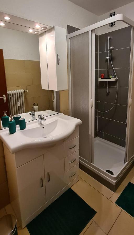 Ferienwohnung Am Waldsee Mit Schwimmbad ゲルンスバッハ エクステリア 写真