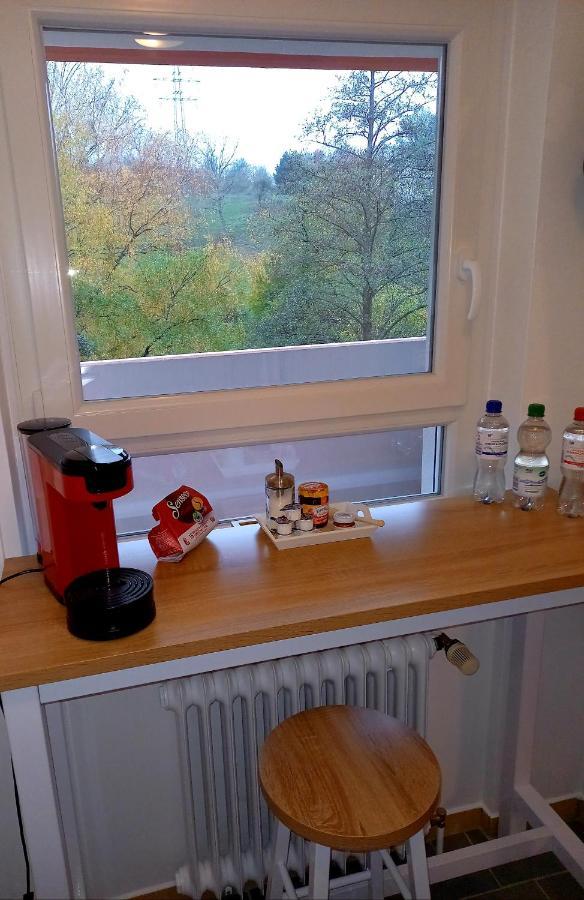 Ferienwohnung Am Waldsee Mit Schwimmbad ゲルンスバッハ エクステリア 写真