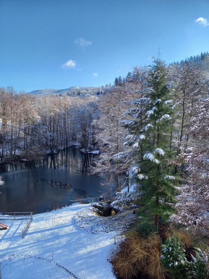 Ferienwohnung Am Waldsee Mit Schwimmbad ゲルンスバッハ エクステリア 写真