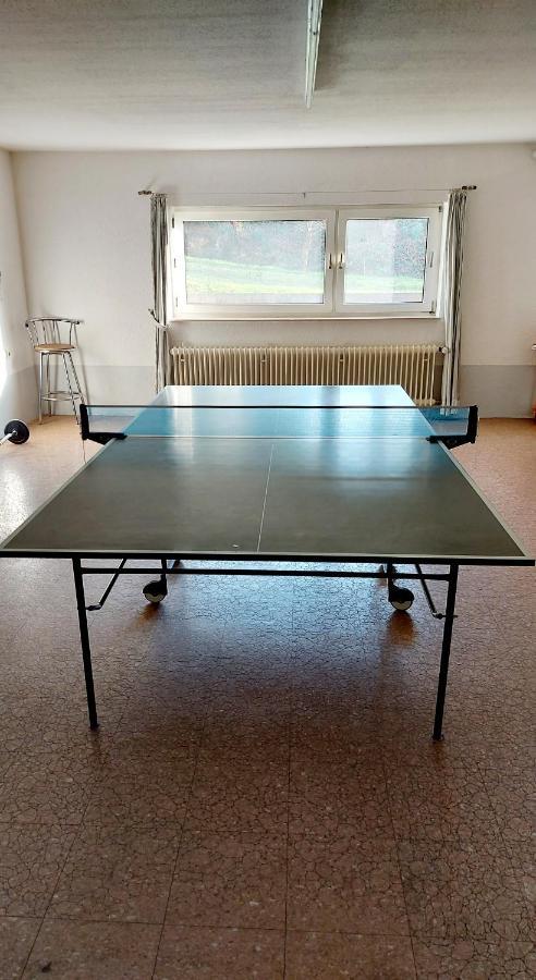 Ferienwohnung Am Waldsee Mit Schwimmbad ゲルンスバッハ エクステリア 写真